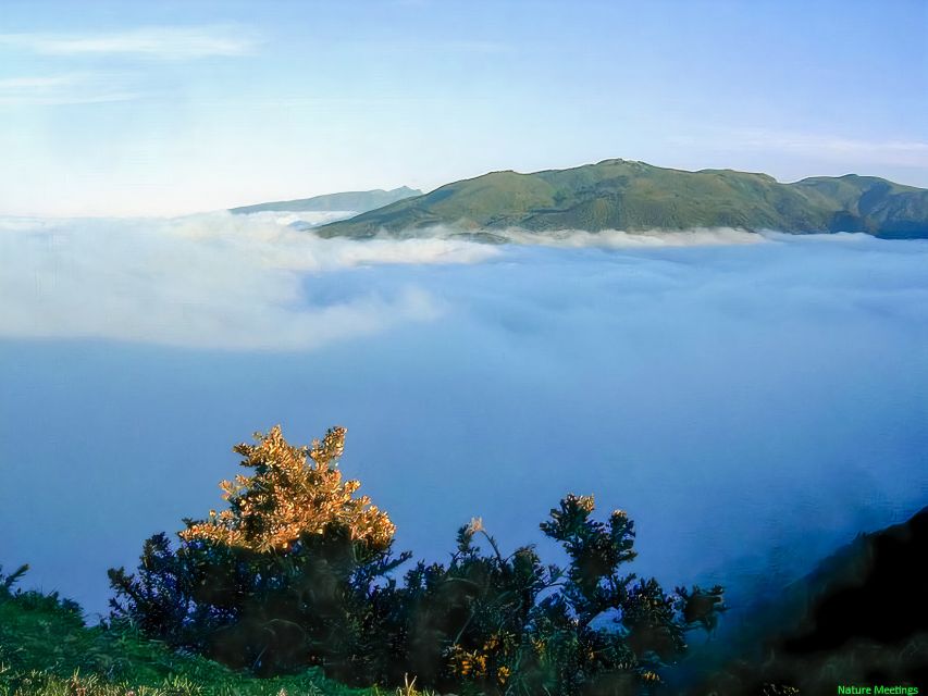 Madeira: Pico Arieiro to Pico Ruivo Hike - Pico Arieiro to Pico Ruivo: what makes this Madeira hike so compelling
