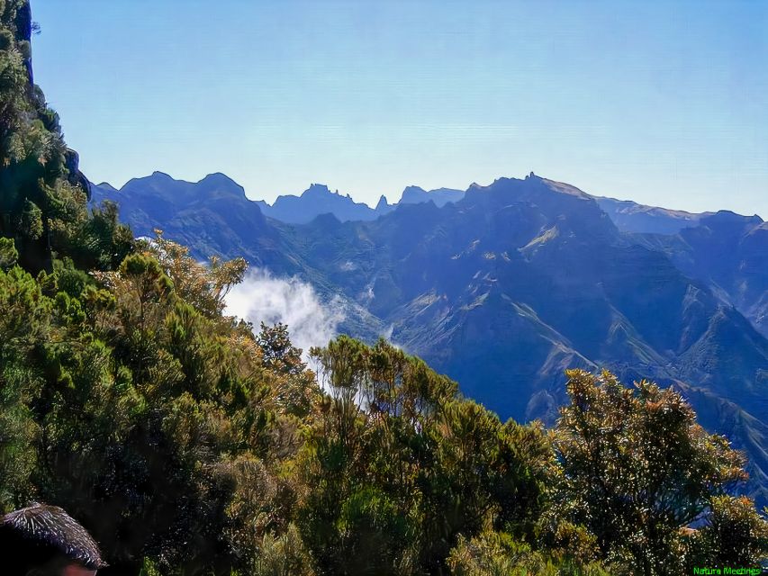 Madeira: Pico Arieiro to Pico Ruivo Hike - What the guide does well: pace, safety, and making the day make sense