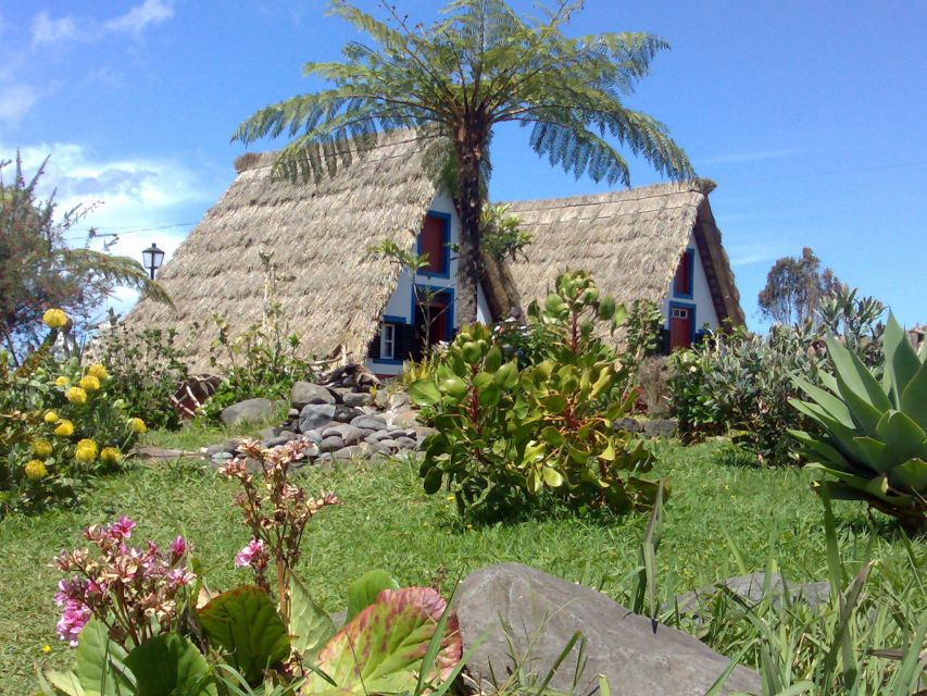 Madeira: Pico do Arieiro & Laurissilva Forest - East tour - Key things to look forward to