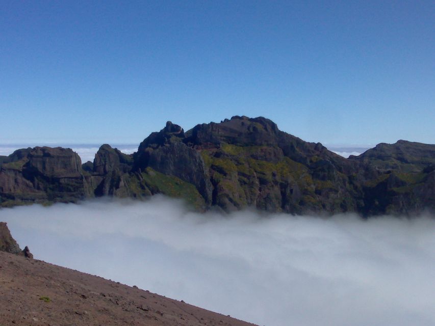 Madeira: Pico do Arieiro & Laurissilva Forest - East tour - Laurissilva Forest walk, the UNESCO side of Madeira