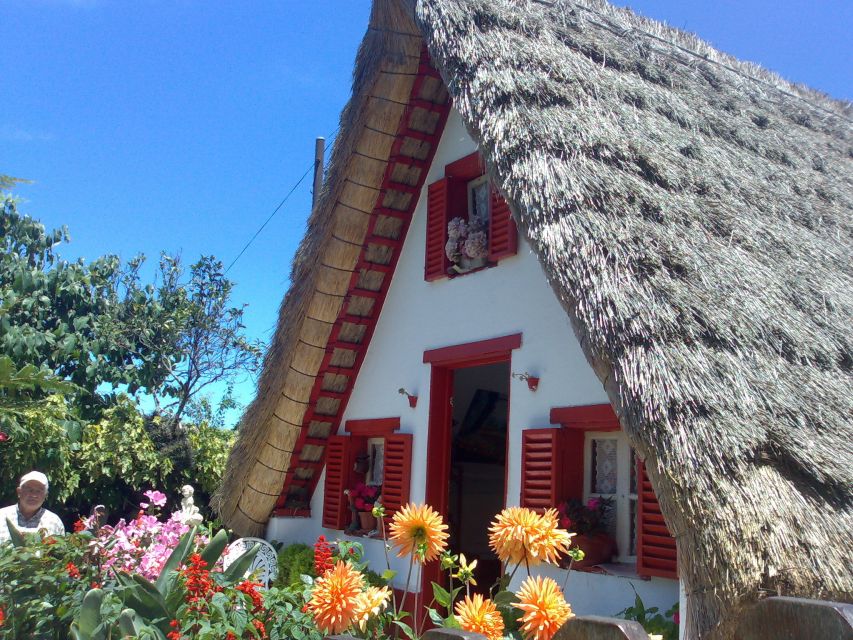 Madeira: Pico do Arieiro & Laurissilva Forest - East tour - Pace, photos, and what to do about food