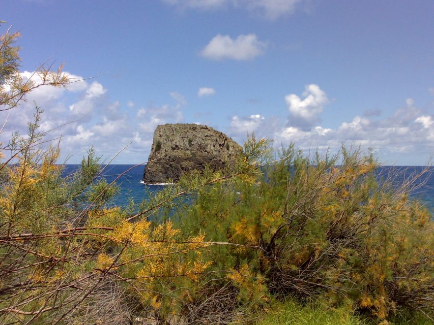 Madeira: Pico do Arieiro & Laurissilva Forest - East tour - Pickup from Funchal and the first stops near Camacha