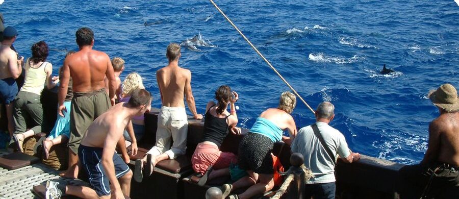Madeira Pirate Ship: 3-Hour Boat Trip - Why a Columbus ship replica makes the views hit harder