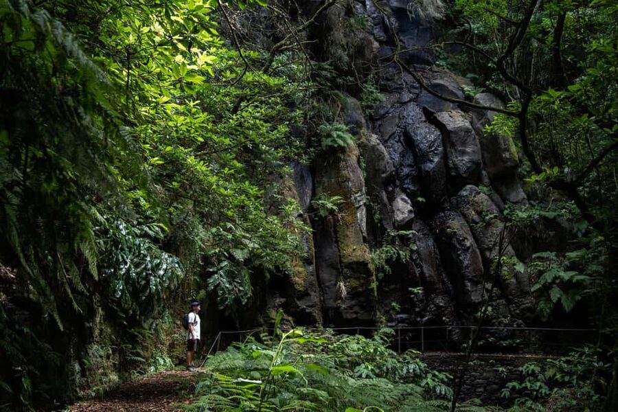 Madeira: PR 9 - Levada do Caldeirão Verde Hike Transfer - The short approach at Pico das Pedras: where your plan starts to click