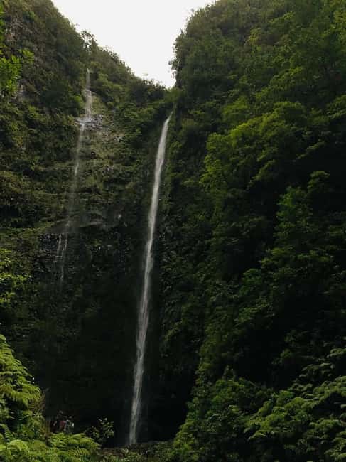 Madeira: PR 9 - Levada do Caldeirão Verde Hike Transfer - PR9.1 plus PR9 main trail: distance, time, and what it feels like