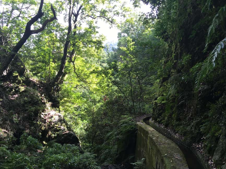 Madeira: PR 9 - Levada do Caldeirão Verde Hike Transfer - What you will see: Laurissilva forest, levadas, waterfalls, and the final reward
