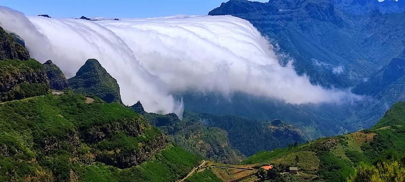 Madeira Private 4-Seater Mercedes VIP - Levadas: if you want the water channels, plan the walk yourself