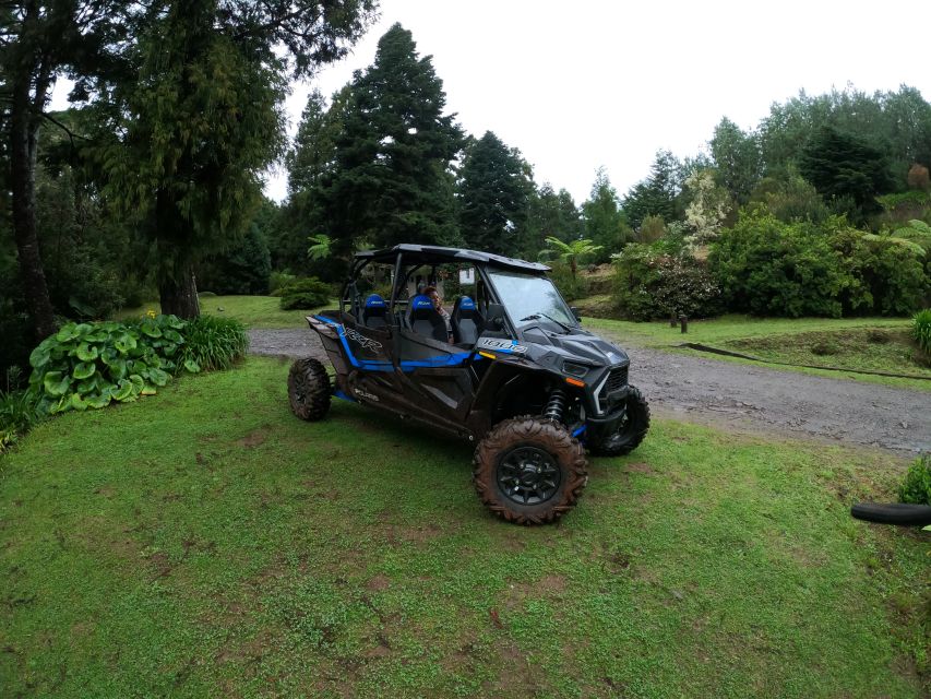 Madeira Private Buggy Adventure: Mountains and Forests - Key things that make this buggy tour worth your time
