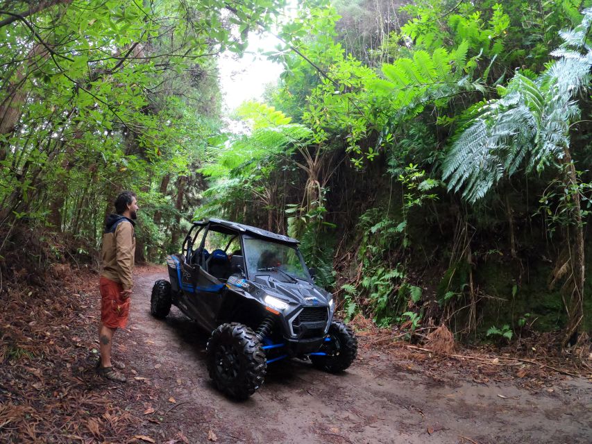Madeira Private Buggy Adventure: Mountains and Forests - Price and value: is $212 per group fair for 3.5 hours?