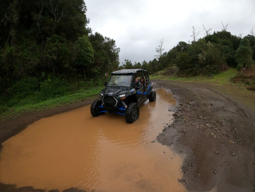 Madeira Private Buggy Adventure: Mountains and Forests - From Pico Alto to Poiso: a viewpoint warm-up before the trails