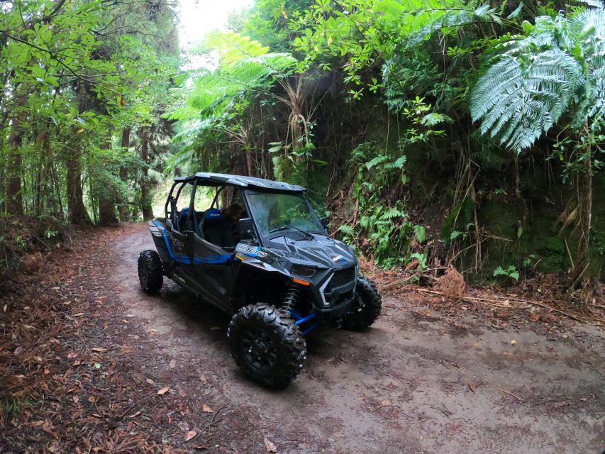 Madeira Private Buggy Adventure: Mountains and Forests - Pico do Suna and Lamaceiros, then Portela with Penha d’Águia nearby