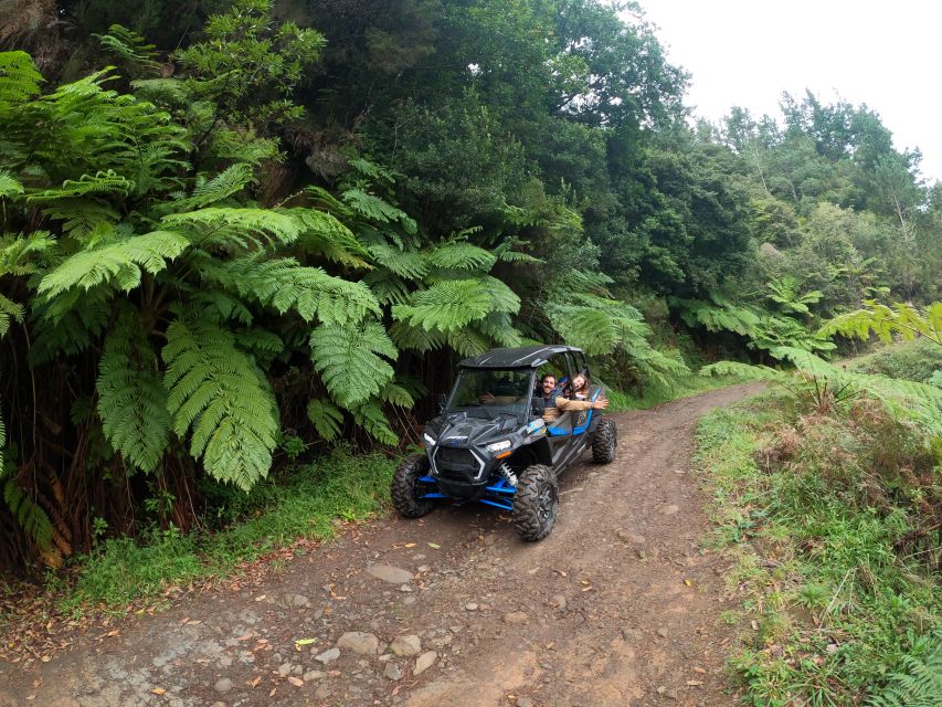 Madeira Private Buggy Adventure: Mountains and Forests - Serra das Funduras and the Laurissilva Forest road you will remember