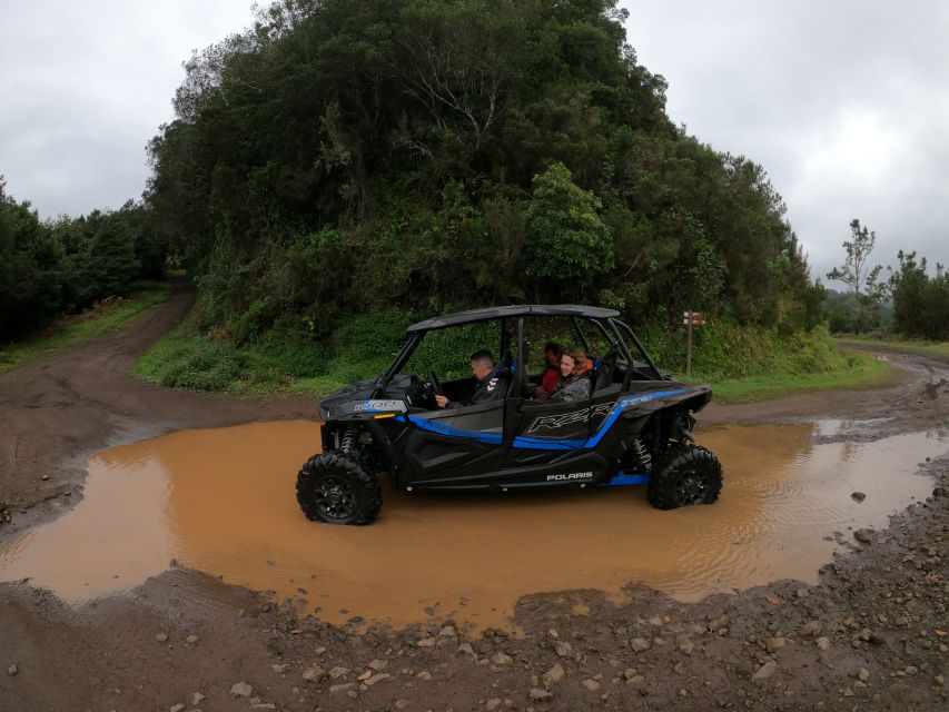 Madeira Private Buggy Adventure: Mountains and Forests - GoPro photos and videos, plus scenic photo stops that save you time