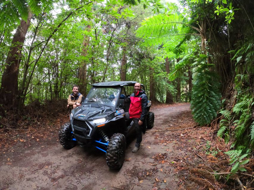 Madeira Private Buggy Adventure: Mountains and Forests - The route from Santo da Serra back to Funchal
