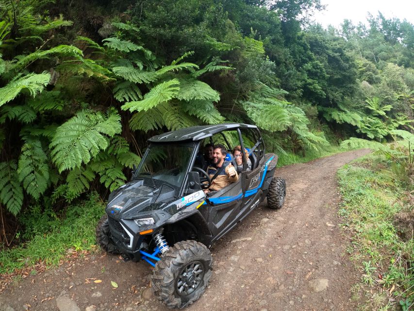 Madeira Private Buggy Adventure: Mountains and Forests - Polaris RZR XP4 controls, and how the ride actually feels