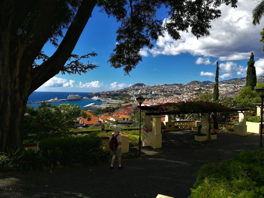 Madeira: Private Funchal City Tour in a Tukxi - Pickup and the fast route to seeing real neighborhoods