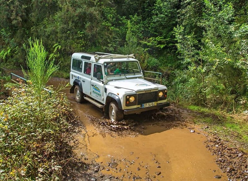 Madeira: Santana Jeep Safari and Referta Levada Walk - Referta Levada walk, farming country and water-channel views