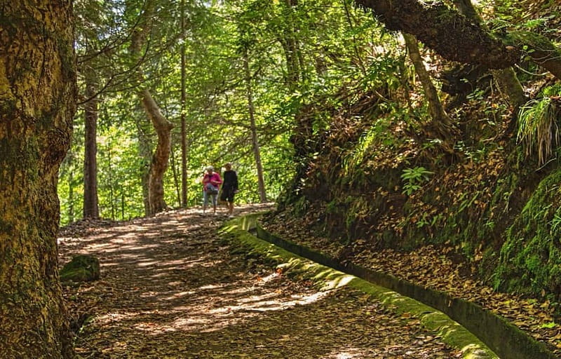 Madeira: Santana Jeep Safari and Referta Levada Walk - Porto da Cruz, the rum stop with a strong sense of place