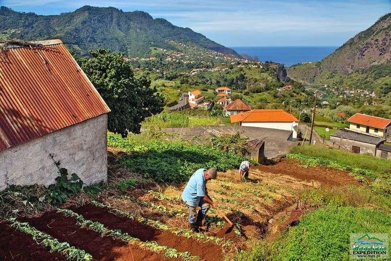 Madeira: Santana Jeep Safari and Referta Levada Walk - Ponta de São Lourenço, dry wind and north-south coast drama