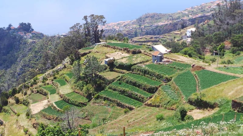 Madeira: Santana Jeep Safari and Referta Levada Walk - Why $72 feels like good value for an 8-hour day