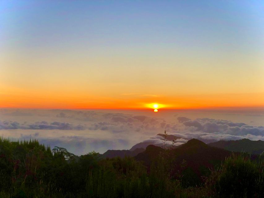 Madeira: Sunrise at Pico do Arieiro & Hike Larano trail - Vereda do Larano Coastal Hike: 7 km of Cliffside Coast (Self-Guided, Moderate Pace)