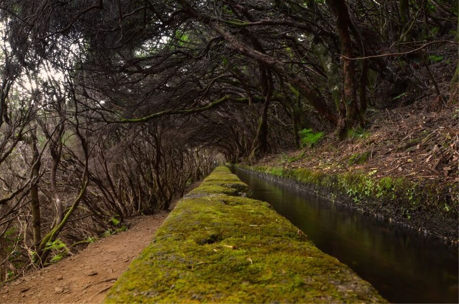 Madeira Walks - Rabaçal and the 25 Fountains - Hotel pickup and the ride to the reserve (and why it matters)