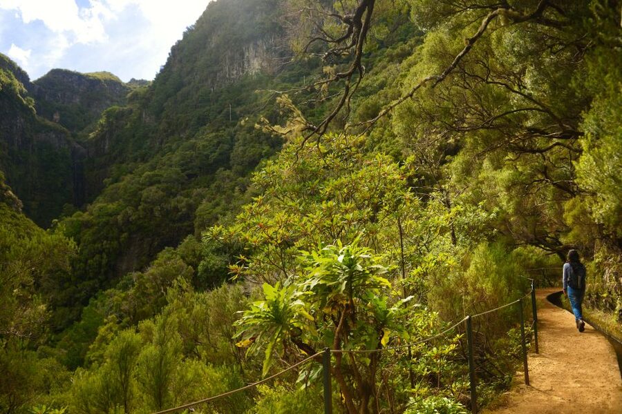 Madeira Walks - Rabaçal and the 25 Fountains - The walking plan in plain terms: 4 hours of trail plus real conditions