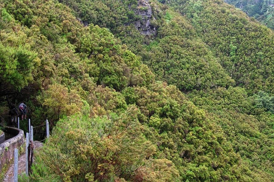 Madeira Walks - Rabaçal and the 25 Fountains - Following the waterfalls: where the trail gets interesting