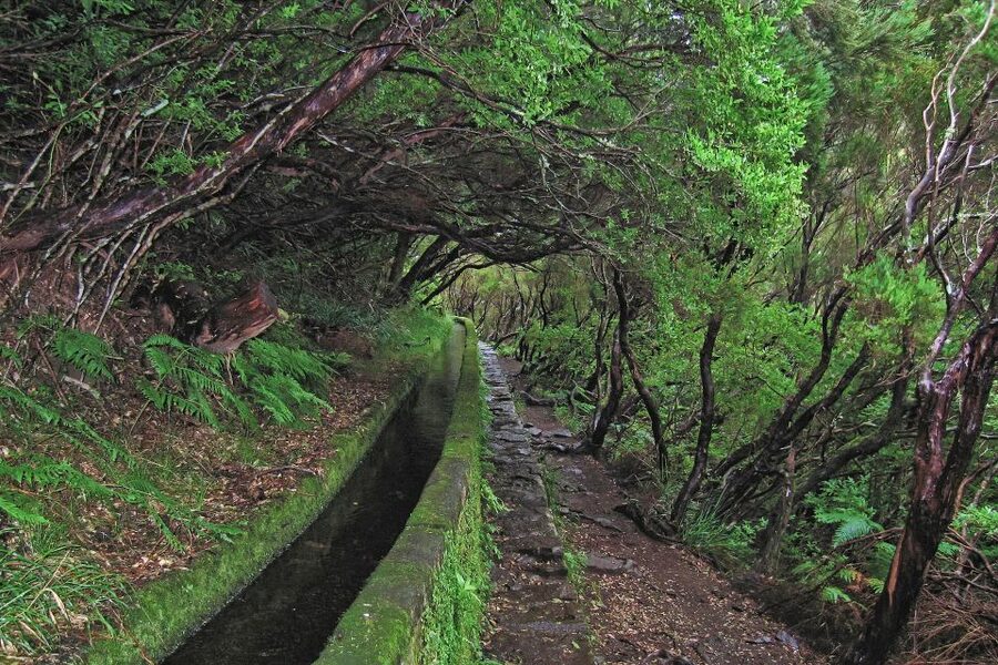Madeira Walks - Rabaçal and the 25 Fountains - The 25 natural springs: how to enjoy them without rushing