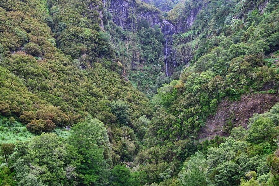 Madeira Walks - Rabaçal and the 25 Fountains - Price and value: is $50 per person worth it?