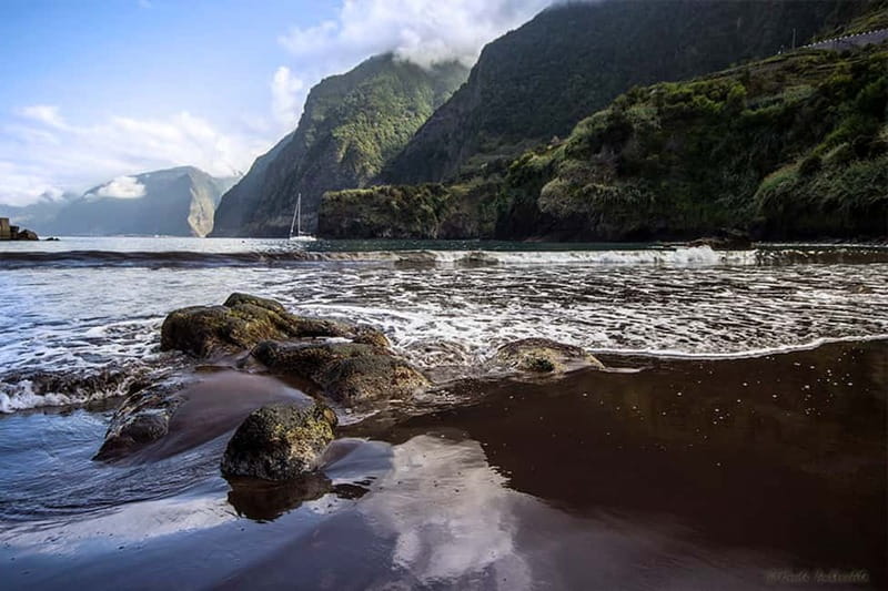 Madeira West Island Full-Day Tour with Fanal Forest - Key highlights worth the early start
