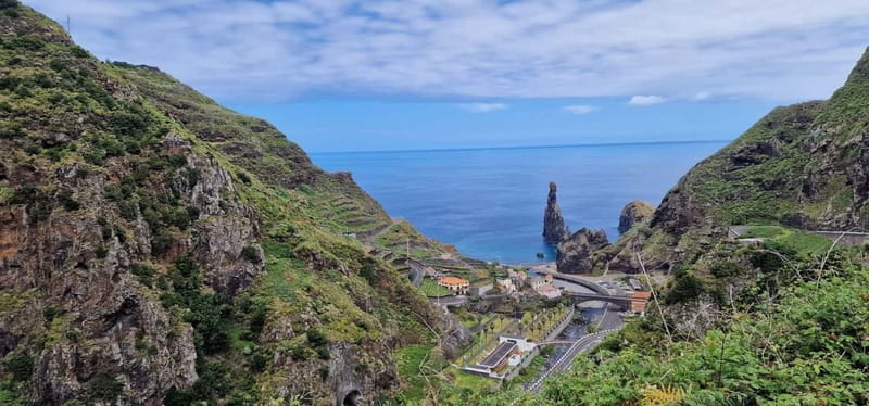 Madeira West Island Full-Day Tour with Fanal Forest - Fanal Forest on Paul da Serra, old laurel trees and real quiet