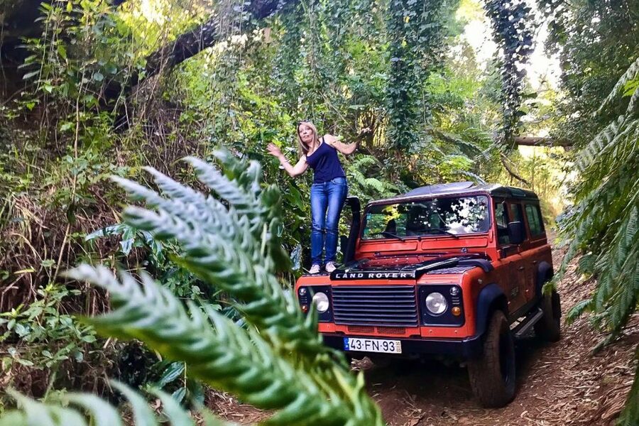 Madeira: West Side Jeep Tour with Natural Pools - Ribeira da Janela and the north coast feeling: ocean first, crowds last