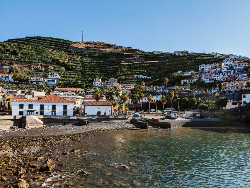 Madeira: Western Madeira Guided Trip & Fanal Mystic Forest - Porto Moniz Natural Volcanic Pools: The Most Fun Break of the Day