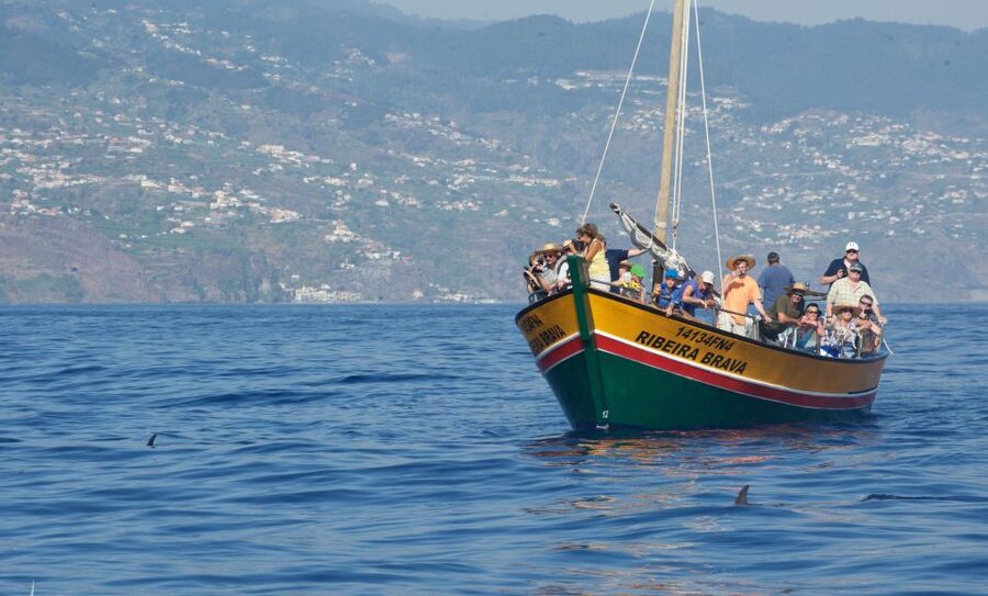 Madeira: Whale Watching Excursion in a Traditional Vessel - FAQ