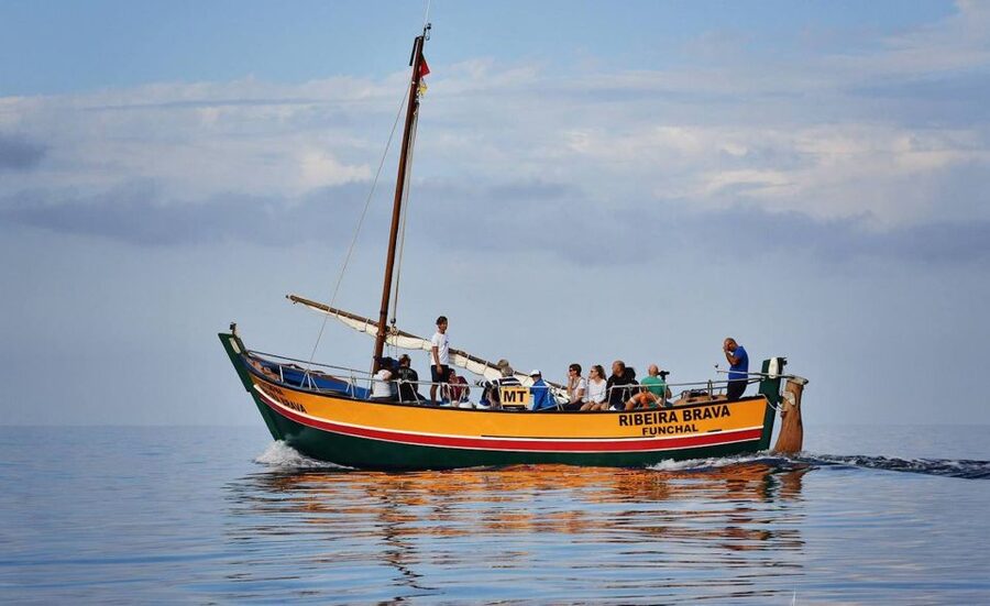 Madeira: Whale Watching Excursion in a Traditional Vessel - Views from the water: Madeira looks different out here