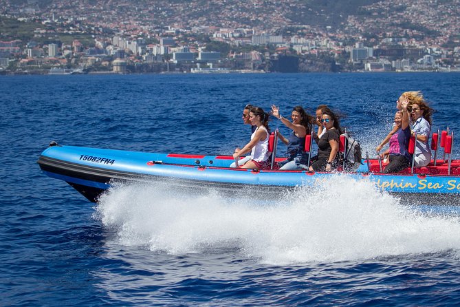 Magic Dolphin Sea Safaris - Key Highlights You Can Bank On