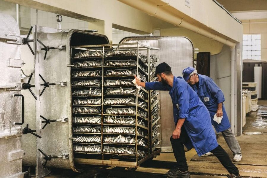 Matosinhos: Conservas Pinhais Factory Tour - The production floor: artisanal steps you can follow, even on a busy day