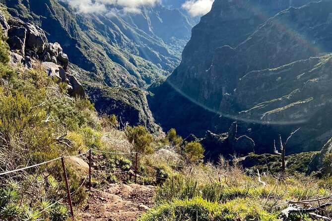 Morning Transfer To Pico Do Arieiro, Hike To Pico Ruivo & Return From Teixeira - The descent to Achada do Teixeira and the small details that matter