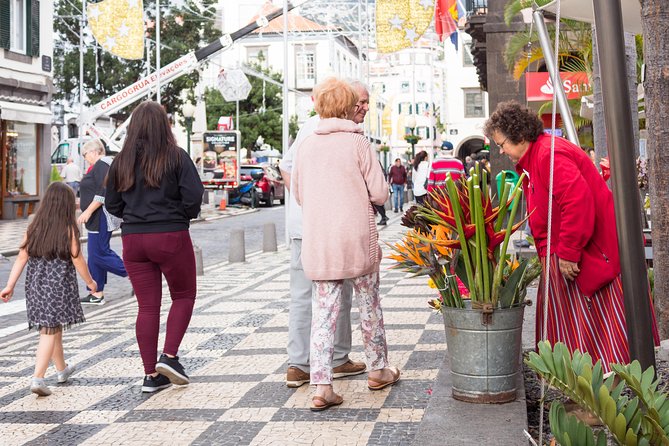 Old Funchal Walking Tour - Stop-by-stop: the route that connects Funchal’s past to today