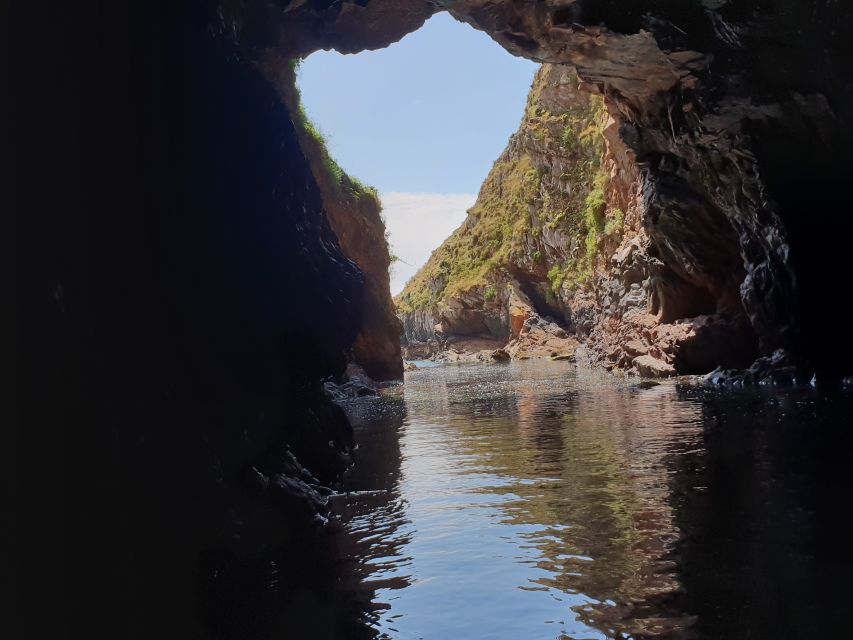 Peniche: Berlengas Roundtrip and Glass-Bottom Boat Cave Tour - What to bring and what to plan around (comfort beats surprises)