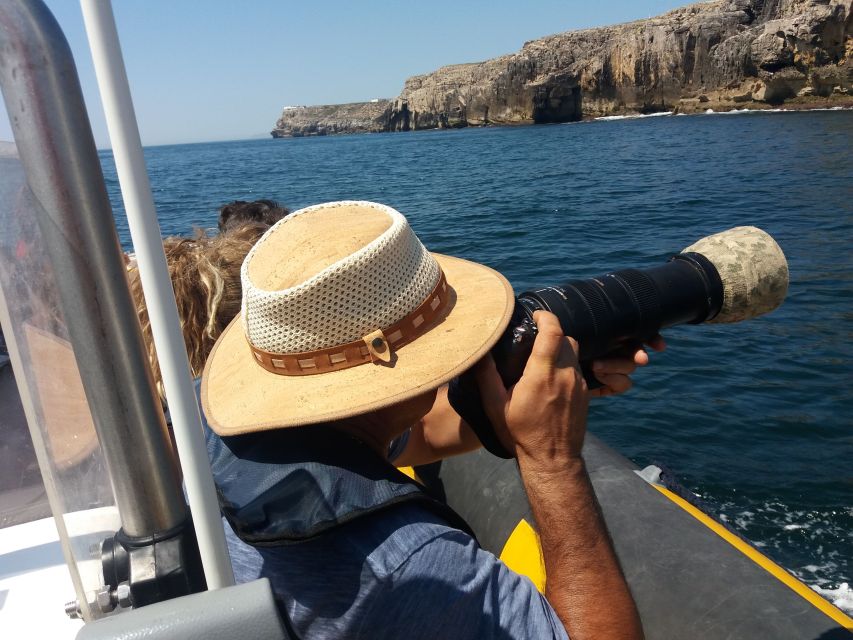 Peniche: Dolphin Route Boat Trip - Peniche Dolphin Watching Makes Sense, Even If You Are Not a Marine Expert