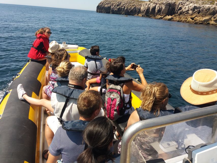 Peniche: Dolphin Route Boat Trip - Dolphins on This Route: Roaz Corvineiro, Wild and Unpredictable