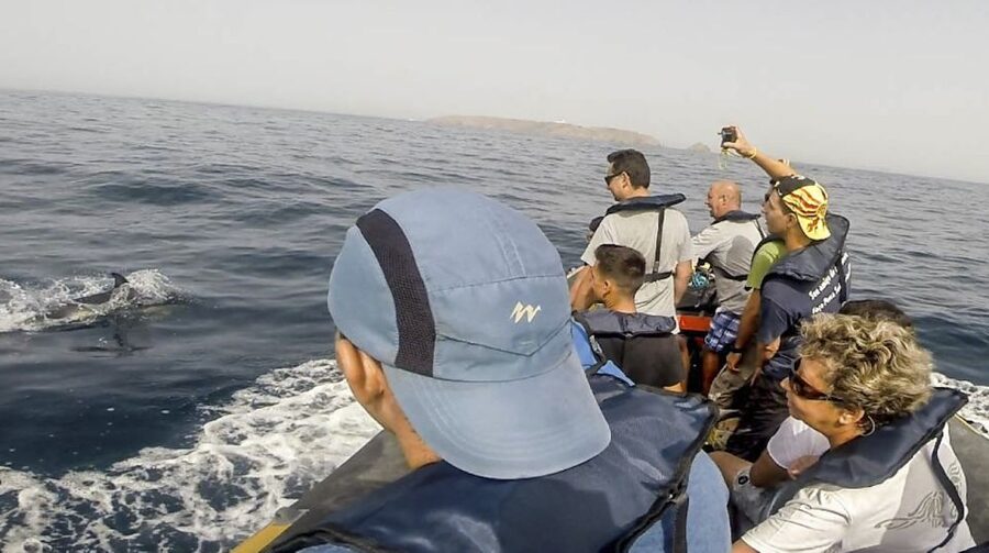 Peniche: Dolphin Route Boat Trip - The Guide and Captain Factor: Why Fernando Gets Mentioned