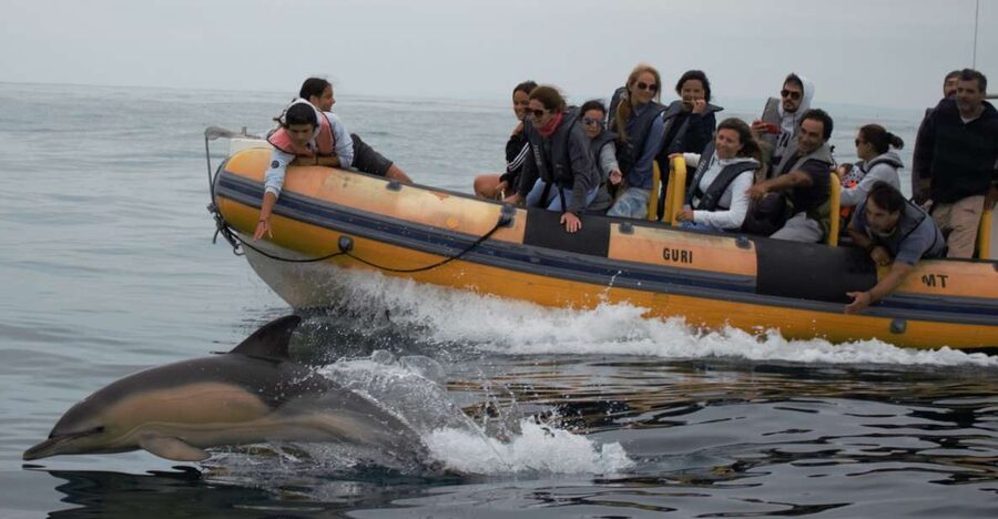 Peniche: Dolphin Route Boat Trip - Rules That Keep the Experience Respectful (and Safe)