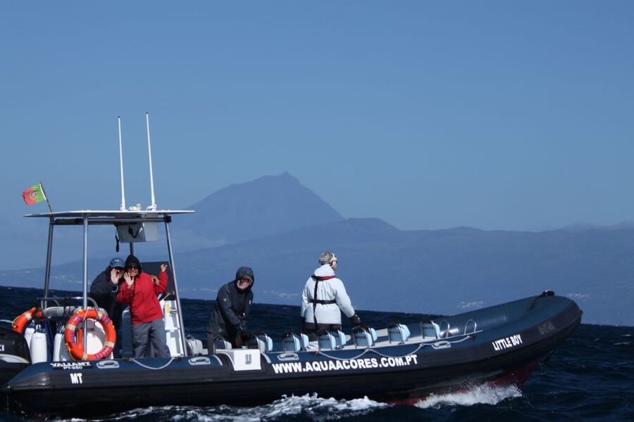 Pico Island: Azores Whale & Dolphin Watching on Zodiac Boat - Key things to know before you go