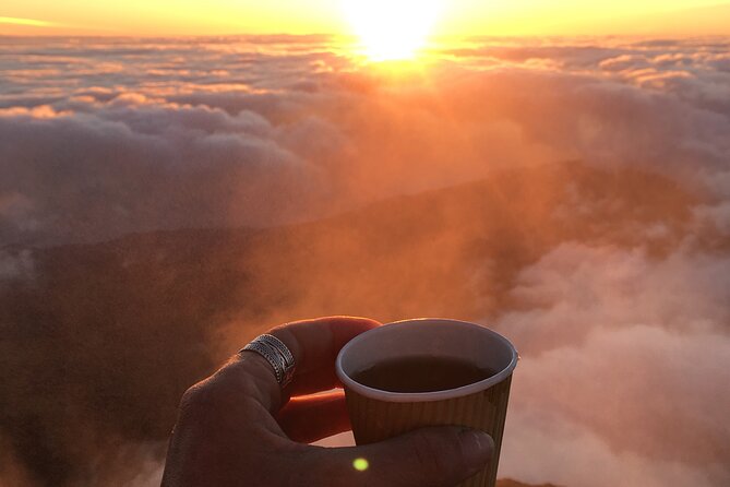 Pico Mountain: Climb the Highest Point of Portugal 2351m - Pico Mountain 2351m: Why This Summit Still Gets People Moving