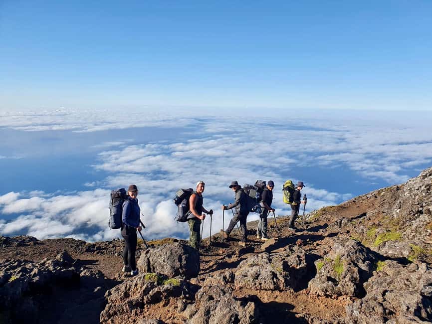 Pico Mountain Climb: Your Path to Portugal’s Highest Point - Into Mount Pico Natural Reserve, Flora and Lava Layers