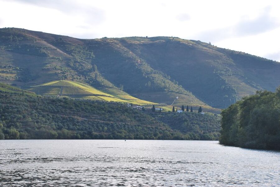 Pinhão: 2-Hour Rabelo Boat Tour with Audio Guide - Who Should Book This Douro Boat Tour From Pinhão