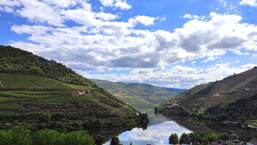 Pinhão: Douro River 50-min Boat Trip with Port Wine - The guide and audio support: English, Portuguese, plus more